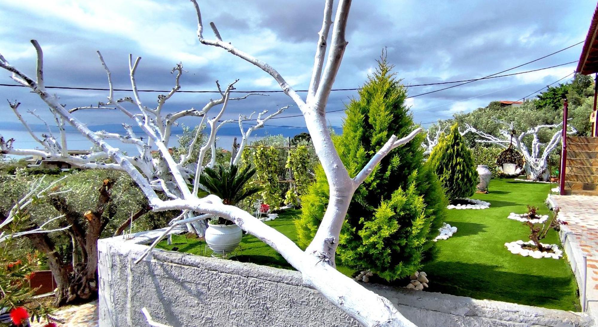 Cozy House With Amazing View! Διαμέρισμα Λουτρά Αιδηψού Εξωτερικό φωτογραφία